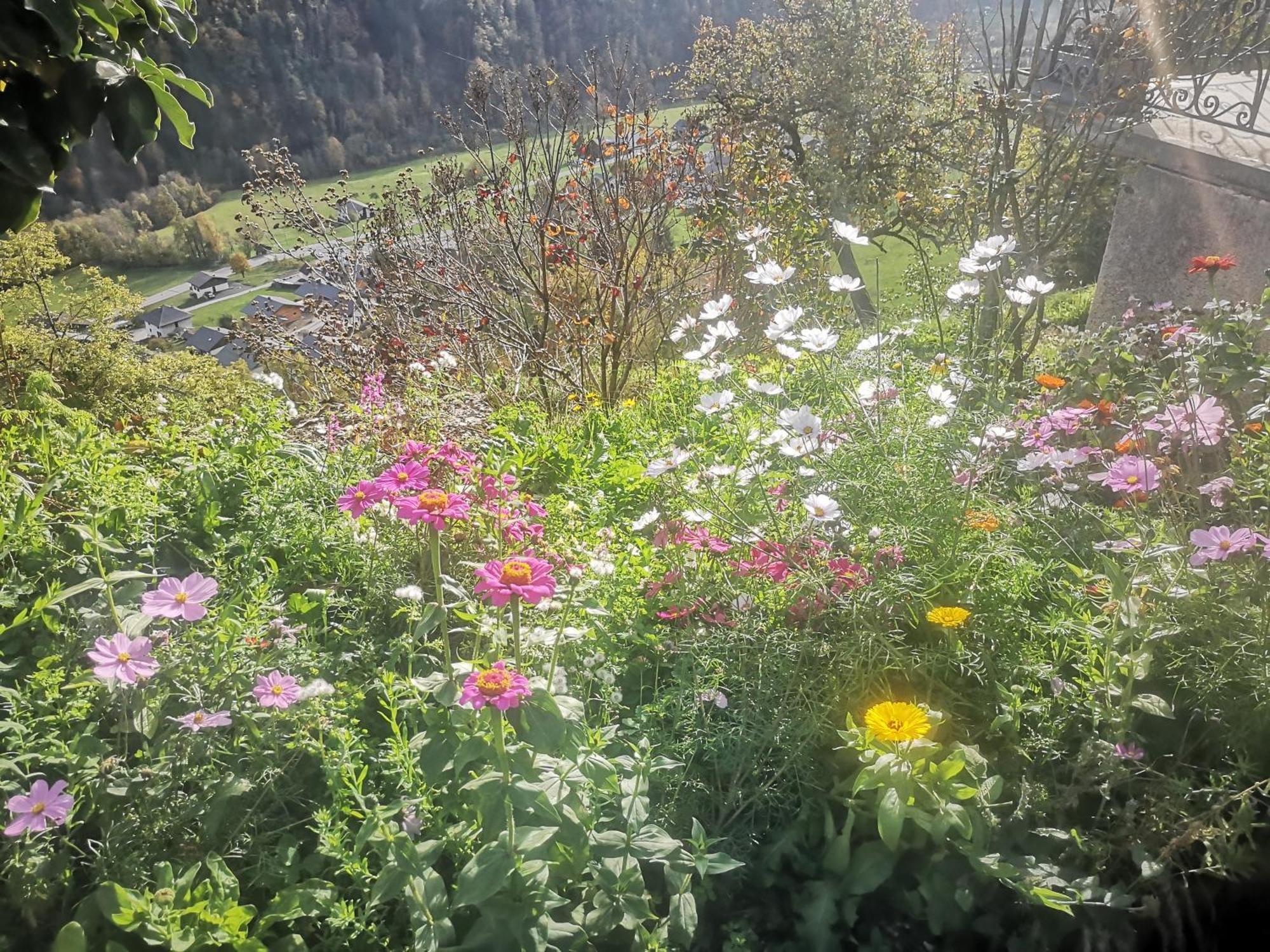 Savoie, Simple Mais Confortable Villard-sur-Doron 외부 사진